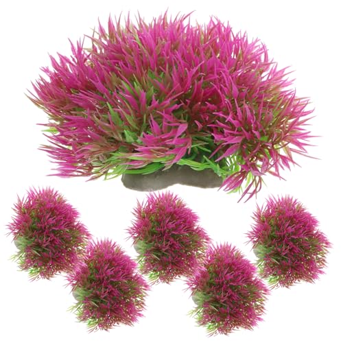 Quinn's Fins 6 Neon Tetra