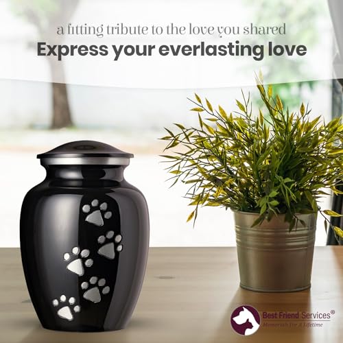 Best Friend Services Pet Urn - Ottillie Paws Legacy Memorial Pet Cremation Urns for Dogs and Cats Ashes Hand Carved Brass Memory Keepsake Urn (Ebony, Vertical, Pewter Paws, Small) - Thumbnail 4