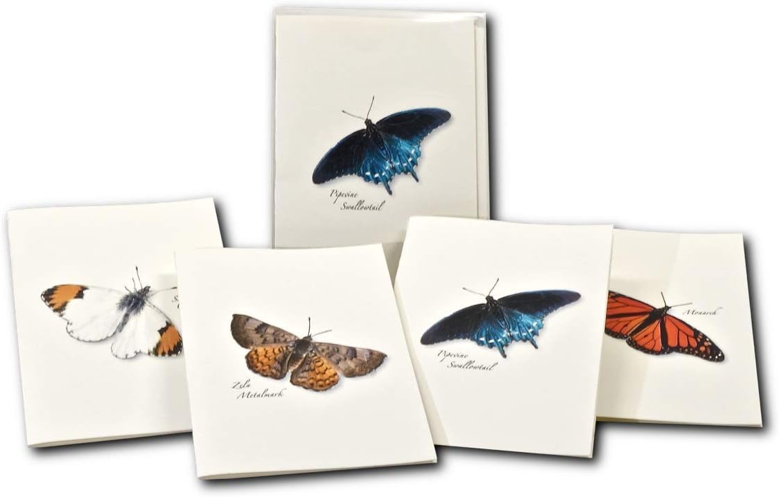 Earth Sky + Water - Western Butterfly Assortment II Notecard Set - 8 Blank Cards with Envelopes (2 each of 4 styles) - Image 6