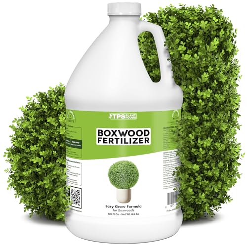Boxwood Fertilizer Liquid Plant Food for Dense Growth Rich Green Foliage & Stronger Roots 1 Gallon