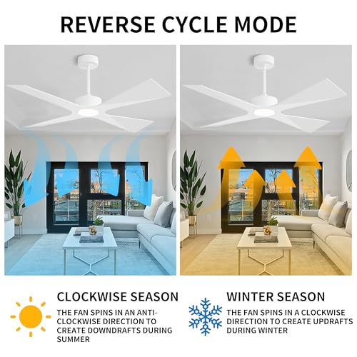 WINGBO 64" Wet Rated Outdoor Ceiling Fan with Lights, 4 ABS Plastic Blades, Reversible DC Motor, 6-Speed Remote Control, 3 CCT, Waterproof Ceiling Fan for Patio Porch Gazebo Garage, Gloss White - Image 7