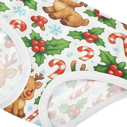 Joisal Cute Cartoon Reindeer Snow Toddlers Underwear Floral 2t Cotton Little Girl Panties Cartoon Kids Briefs Undies4