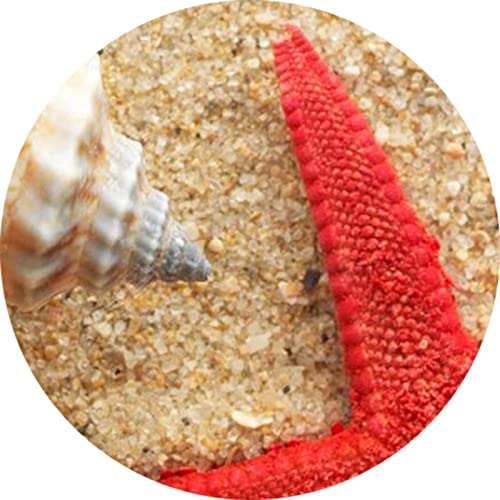 Dmlef 3D Floor Tile Wallpaper Golden Beach Stone Seashell Bedroom Bathroom Pvc Self Adhesive Floor Sticker Living Room Wall Painting Art #TOP3