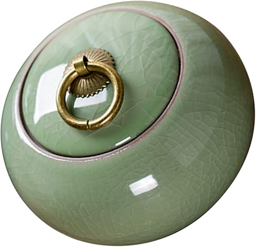 Recipiente de café de cerámica para té, tarro de galletas de cerámica, tarro de galletas vintage, recipiente de cerámica hermético, recipiente de