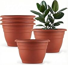 5 Pack 10 Inch Plastic Plant Pots Lightweight Planters with Drainage Holes,Durable Indoor & Outdoor Flower Pots for Garden,Patio & Home Decor(Pottery Red)