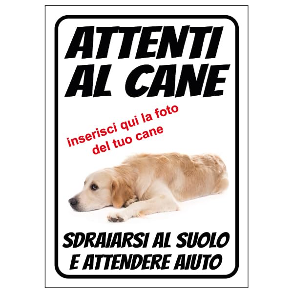 THIRARD - Disque de Signalisation Attention au Chien - Polystyrène