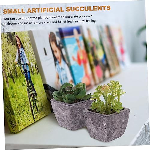 NUSITOU 2 Stuks Tuinaanleg Mini Bonsai Prop Ingemaakte Nepcactus Levendige Bonsai Lichte Huisdecoratie Voor Thuis Kunstmatige Sappige Decoraties Levensechte Cactus Plant Pvc Rekwisieten - Afbeelding 7