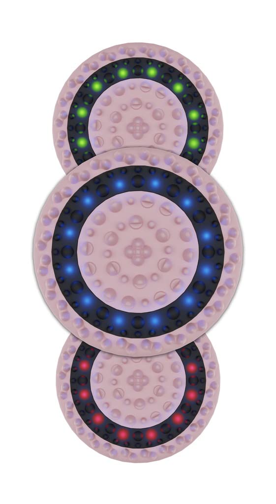 Beautifly B-Body Anti-Cellulite Handmassagegerät - Multicolor-Lichttherapie, revitalisierende Massage und Silikon-Technologie für strahlende Haut und verbesserte Absorption von Schlankheitskosmetik