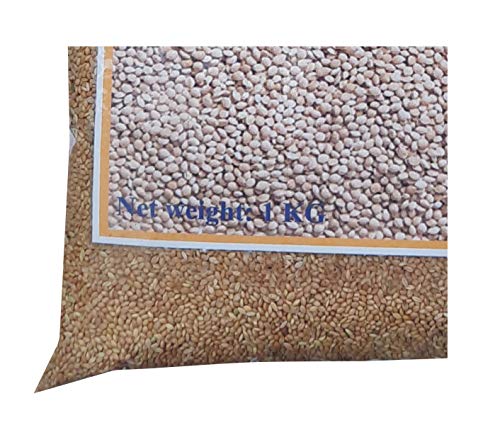 Image of Foxtail Millet Kangni Seeds 1 Kg - All Life Stages, Bird