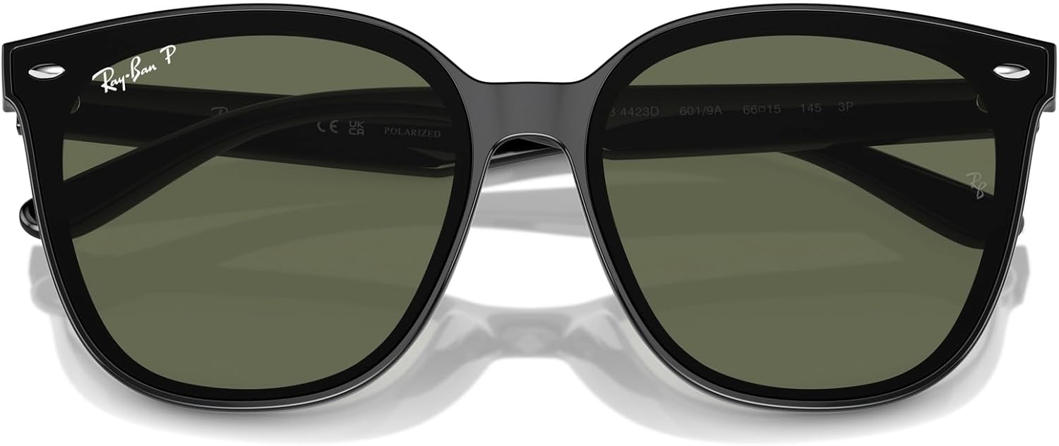 Ray-Ban Unisex Rb4423d Square Sunglasses