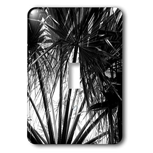 3dRose lsp_330794_1 - Cubierta para interruptor de luz, silueta de hojas tropicales de palmera