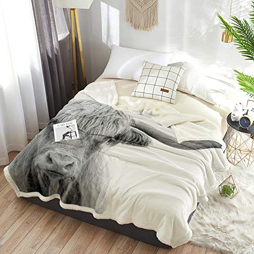 Sherpa Fleece Throw Blanket Yak Highland Cow Home Decor Reversible Fuzzy Warm And Cozy Throws, Cattle Portrait Art Super Soft Plush Bed Tv Blankets For Couch/Sofa/Travel #TOP5