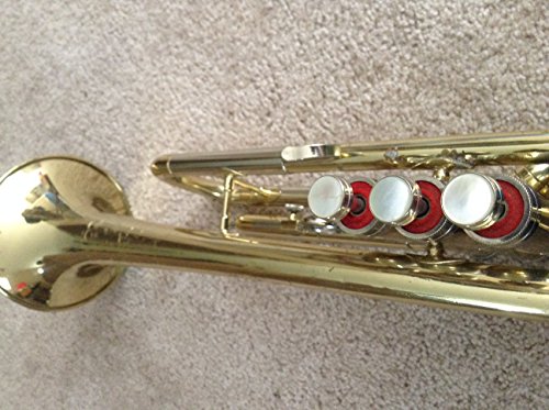 Conn Director Bb Student Trumpet, Lacquer #TOP3