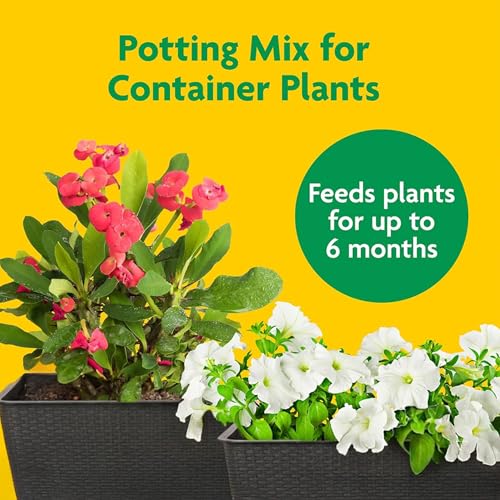 Image of Miracle-Gro 2 Cu Ft Potting Mix and 24-Pack Indoor Plant Food Spikes for Garden Soil - Continuous Feeding for Houseplants, Outdoor Gardening, Vegetable Planting, and Container Growing