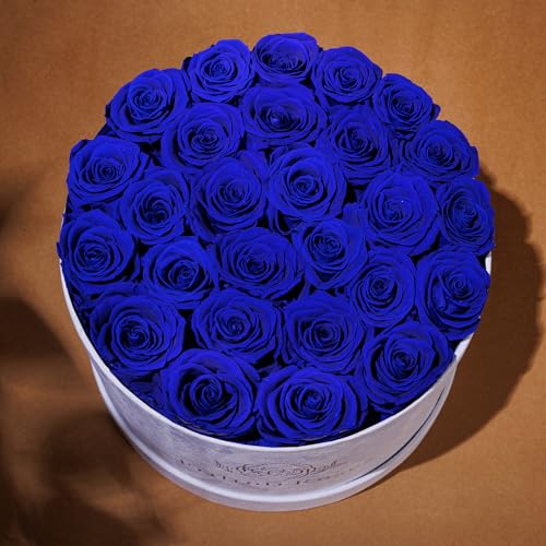 27 Flowers in a Luxury Suede Box, Birthday Gifts for Women, Preserved Flowers, Mothers Day Roses Gift for Mom, Royal Blue