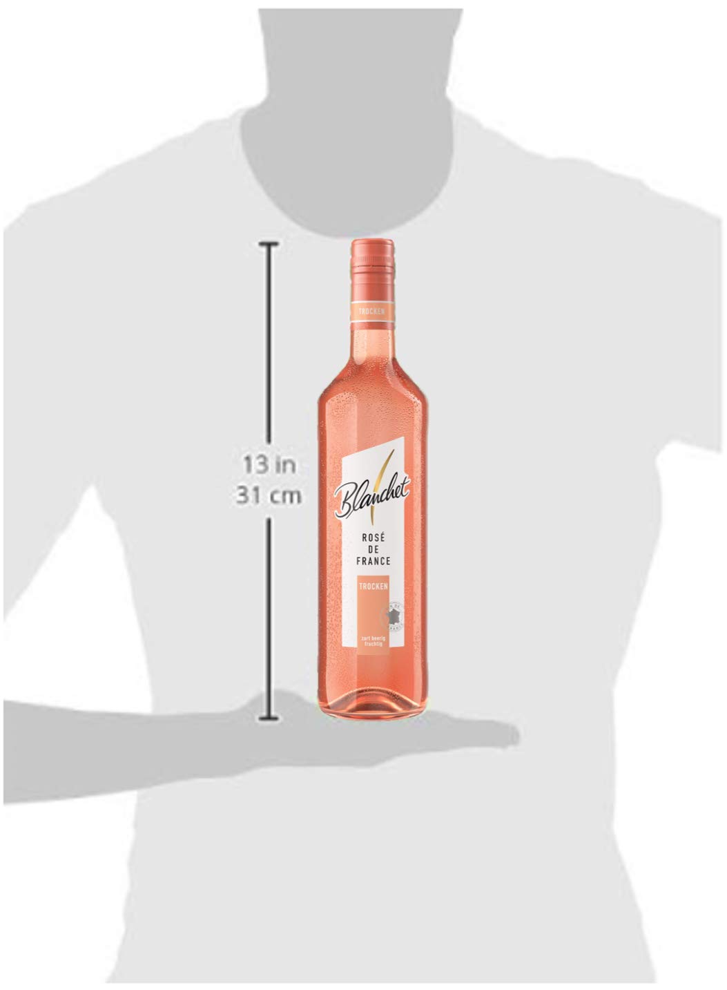Blanchet Rosé de France Roséwein Trocken (6 x 0,75l)