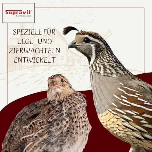 Supravit Wachtelfutter 25kg | Vollwertige Körnermischung für Wachteln, Legewachteln und Hühner als Alleinfutter | Wachtel Futter mit Hirse Glanz Perillasaat Raps Haferflocken Hafer und Leinsamen