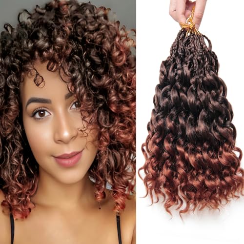 10 Inch Pre Looped Crochet Hair for Black Women...