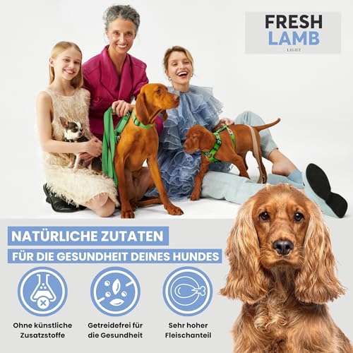 JOHN DOG Premium Trockenfutter für Hunde Fresh - Hundefutter trocken getreidefrei mit 80% Fleischanteil - Hundetrockenfutter mit Lamm - aus natürlichen Zutaten - für ausgewachsene Hunde 3kg