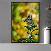 Framed Canvas Wall Art Butterfly Expressive Farmhouse/Country Home Office Insects Lake Multicolor Photography - 16x24 inches