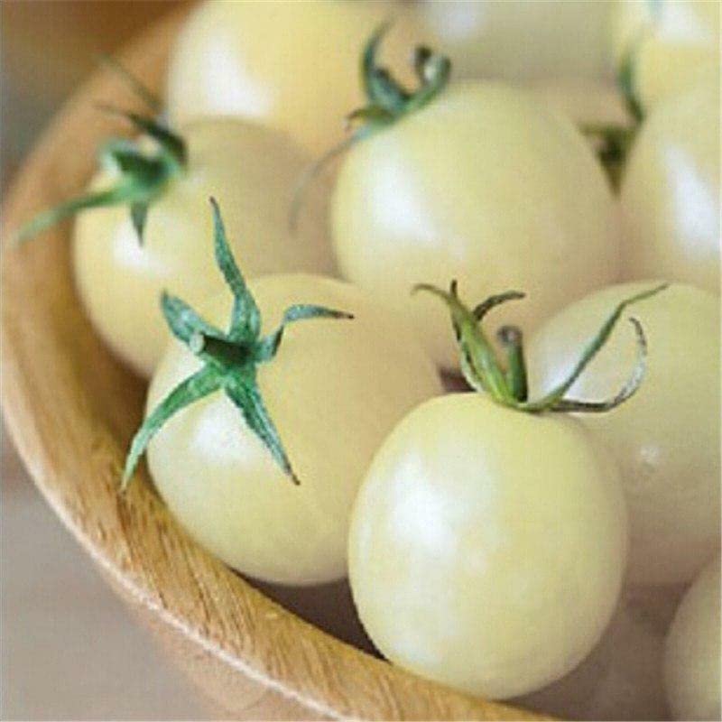 M-Tech Gardens Rare Hybrid Tomato " Snow White " Exotic 100 Vegetable Seeds for Growing (B0BNSPMXXK) Amazon Price History, Amazon Price Tracker