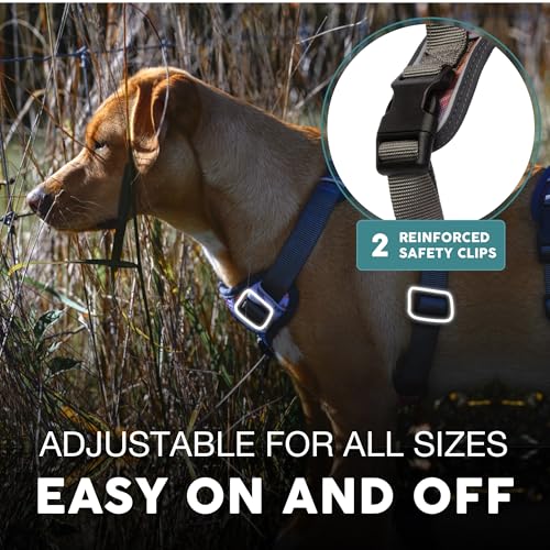 Embark Adventure Dog Harness, Reflective Trim No Pull Dog Harnesses for Small Sized Dogs - Military Grade Nylon, Front Clip with Gel Lined Handle.
