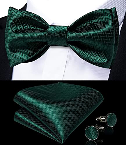 Image of DiBanGu Paisley Bow Ties for Men Silk Self Tied Bowtie and Pocket Square Cufflinks with Lapel Pin for Wedding Party