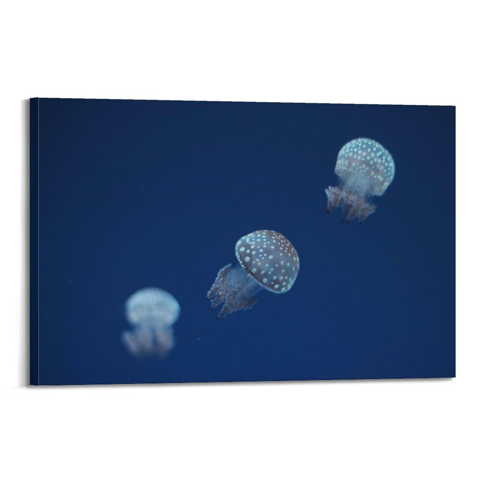 CXHJCA Sea Life Poster Flexible Jellyfish Poster Decorative Painting Canvas Wall Posters And Art Picture Print Modern Family Bedroom Decor Posters 24x36inch(60x90cm)