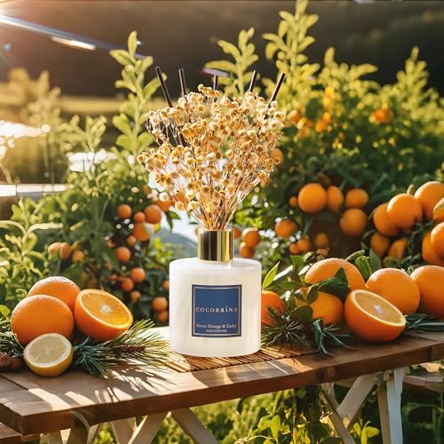 Image of COCORRINA Reed Diffuser - Sweet Orange & Cedar 6.7 Fl.oz Reed Diffuser Set with Sticks & Preserved Baby's Breath, Reed Diffuser for Home Bathroom Shelf Decor