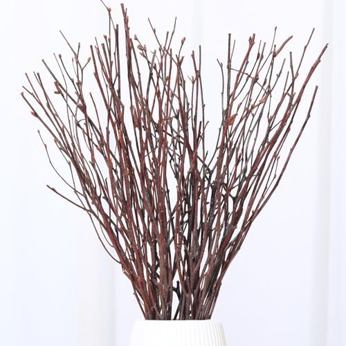 30 Pcs Real Dried Birch Twigs - 17" Natural Decorative Birch Branch...