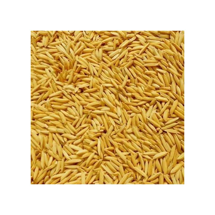 Buy Premium Rice Paddy Seeds, Nellu 450 Grams Enriched with Cuttlefish
