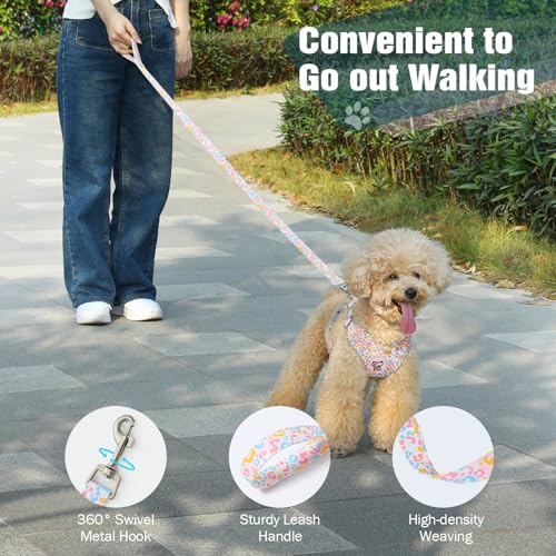 Pawaboo Hundegeschirr mit Hundeleine Set, X-Rahmen Verstellbares Anti Zug Anti-Erstickung Hund Brustgeschirr für Kleine, Mittelgroße Hunde & Welpen, Hundeweste mit Leine, M, Bunter Leopard