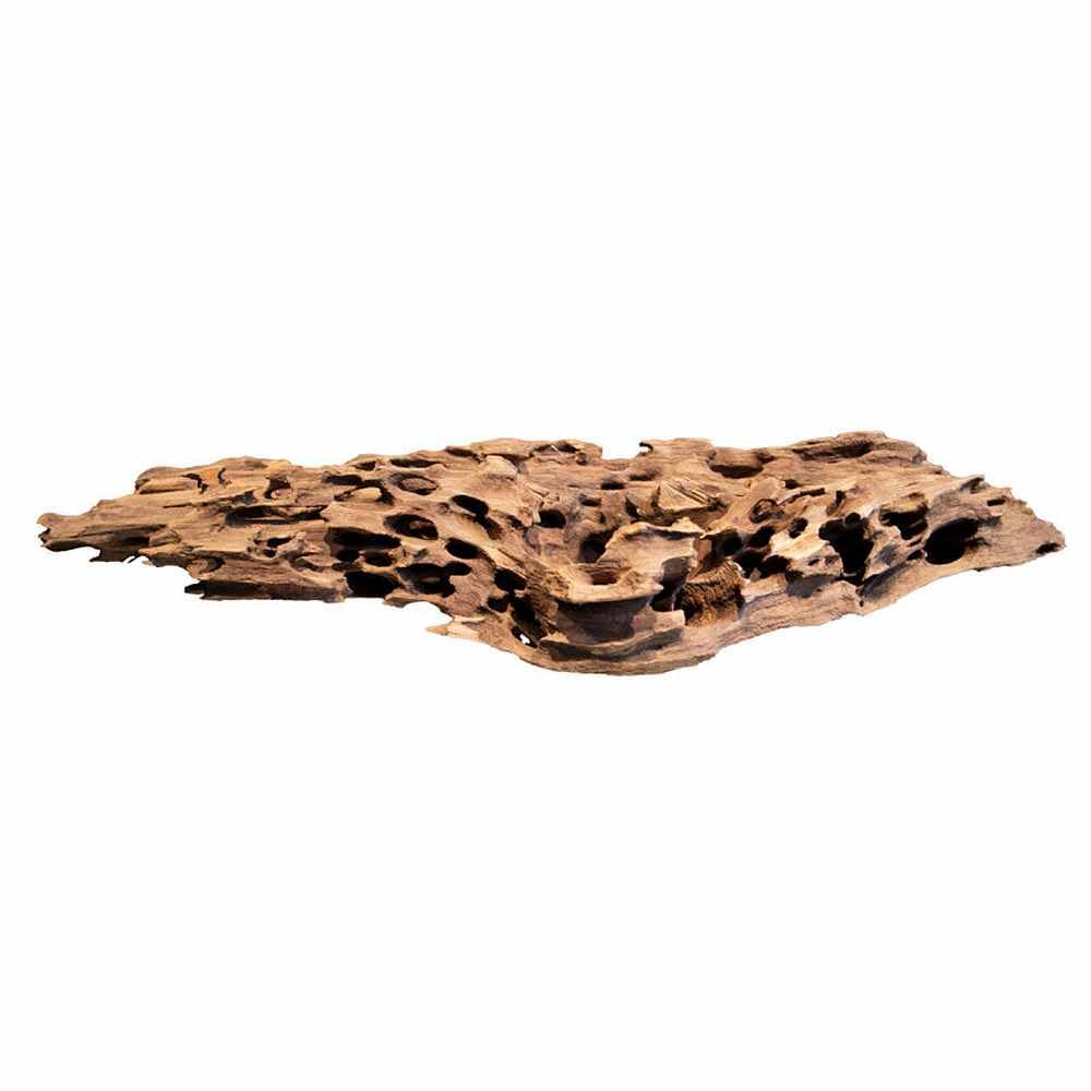 Biotope Aquatics Ltd - Bois nid d'abeille naturel pour aquarium – Plusieurs tailles – Décoration d'aquarium – Racine en bois de cholla (pièce de 45 à 58 cm (taille XL/XL)