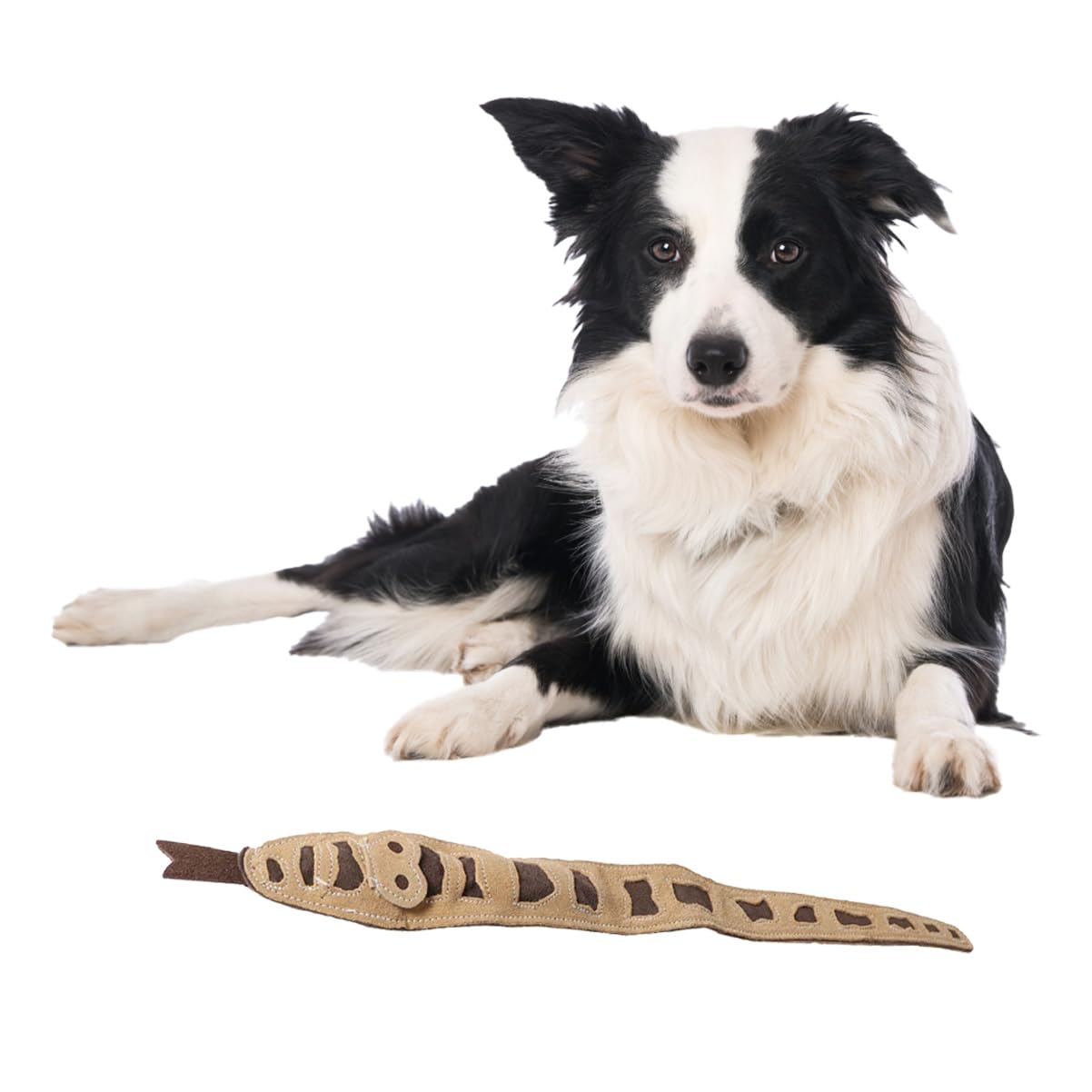 Pet Supplies : SPOT Skinneeez Leather Snake – 25in Stuffing-Free