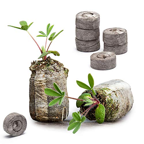 Jiffy - 100 Compresse Di Torba Per Semina, Diametro 4.2 Cm - Foto 5