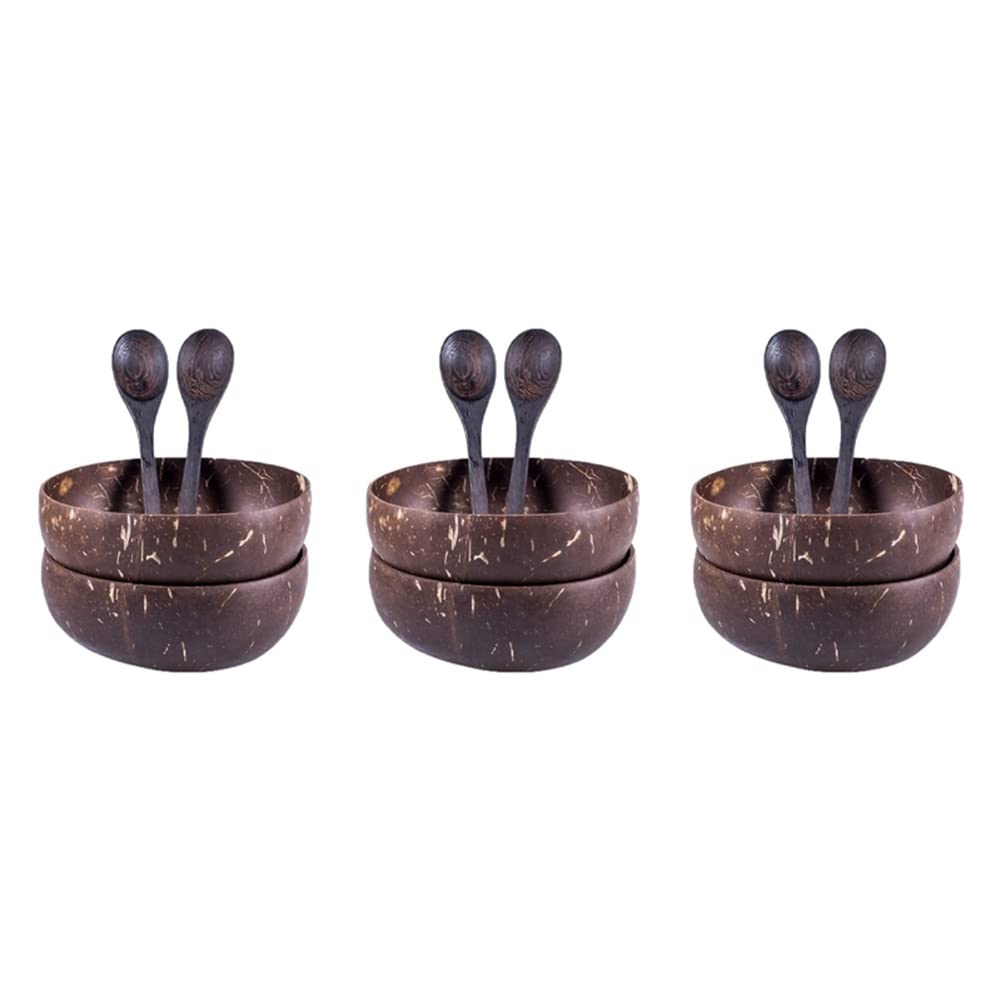 Service en coque de noix de coco artisanale lot de 12 bols durables
