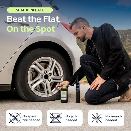 Woowind Tire Sealant Repair Kit