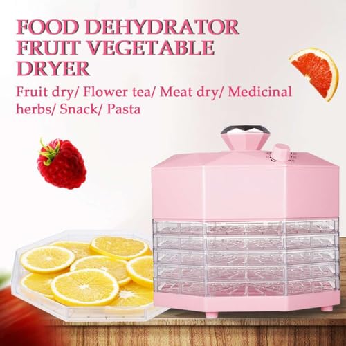 PAHION 5 Regale Dörrautomaten Dörrgerät Dörrautomat Dehydrator 8-Gang Einstellbarer Thermostat Temperaturregler Fruit Jerky Dehydrator Für Obst, Gemüse, Fleisch, Hundeleckerlis – Bild 3