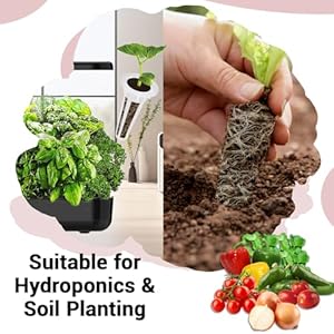 Salsa Garden Seed Pods for All Hydroponics Growing System, 8 Pods with 600+ Seeds of Cherry Tomato, Bell Pepper, Onion, Cilantro, Jalapeno Pepper and Roma Tomato Salsa Garden Seed Pods for All Hydroponics Growing System 8 Pods with 600 Seeds of Cherry Tomato Bell Pepper Onion Cilantro Jalapeno Pepper and Roma Tomato