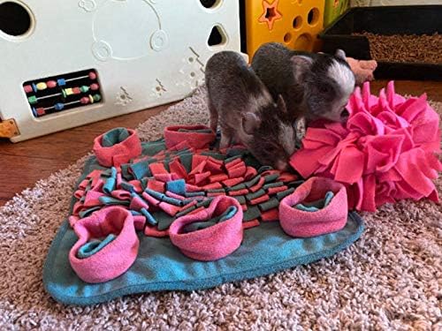 Miniatura 3 de AZ Micro Mini Cerdo Actividad Rooting Mat  Gran Tamaño para Viajes  18 x 20