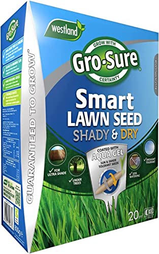 Gro-Sure 20500262 Lawn Seed Natural