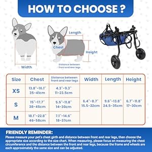   Dog-Wheelchair-for-Back-Legs-Dog-Wheelchair-for-Small-Dog-Adjustable-Pets-Cart-with-Wheels-Doggy-Wheelchairs-for-Disabled-Hind-Legs-Dog-Leg-Brace-and-Hip-Support-Medium