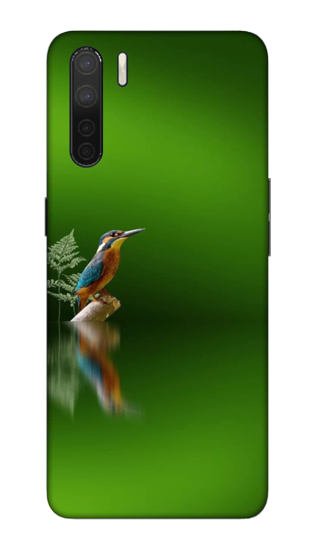 Designer Back Case Cover for Oppo A91 | Alcedo Atthis Ebird |
