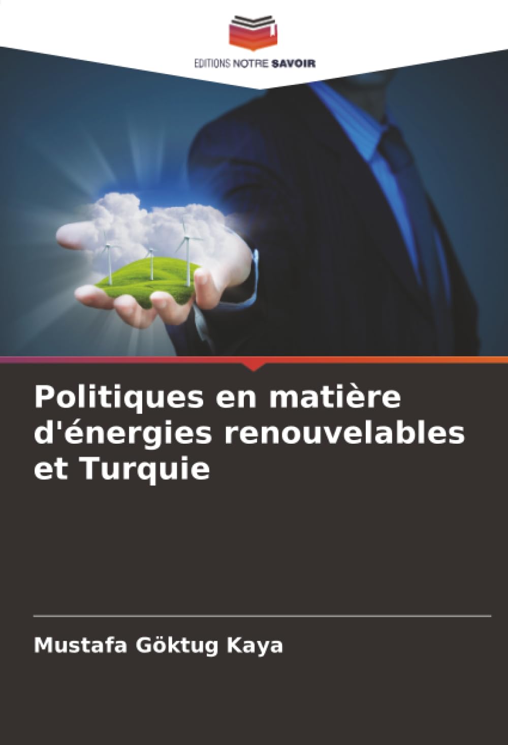 Politiques en matière d'énergies renouvelables et Turquie