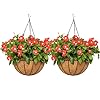 EIMQUVW Outdoor Metal Hanging Planters Basket (2pack, 8 inch) Hanging Baskets for Plants Chain Round Wire Plant Holder with Coco Fiber Liners for Garden, Patio, Deck, Porch