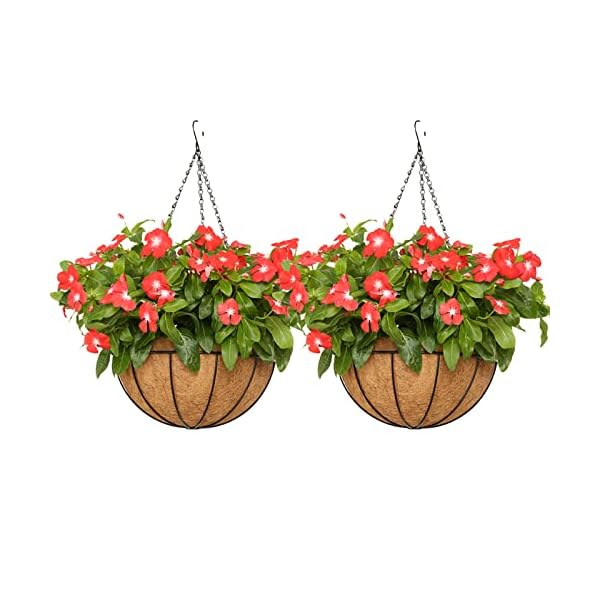 EIMQUVW Outdoor Metal Hanging Planters Basket (2pack, 8 inch) Hanging Baskets for Plants Chain Round Wire Plant Holder with Coco Fiber Liners for Garden, Patio, Deck, Porch
