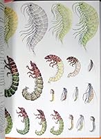 Nymphs 083290340X Book Cover