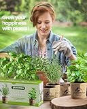 9 Herb Kit for Indoor Garden - Unique Kitchen Gift for Women, Men, Moms, Friends, Complete Starter Set with Pots, Soil and Tools, Perfect for Windowsill - Image 4