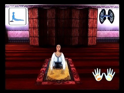 Miniatura 11 de Yoga - Nintendo Wii