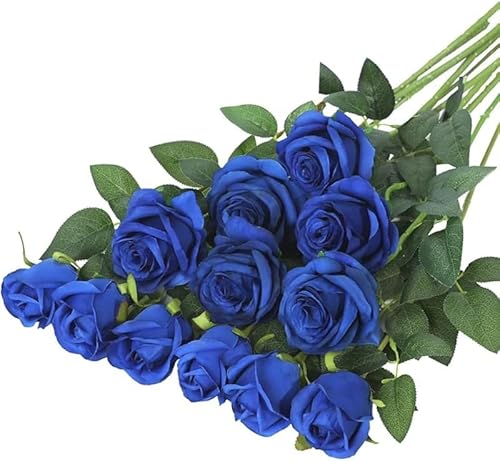 AZIEBAY lHoA12ZbgA{ŔAG肪_炩A͂邱Ƃ͂܂BAv|[YAaAo^Cf[A̓ȂǂɍœKłB